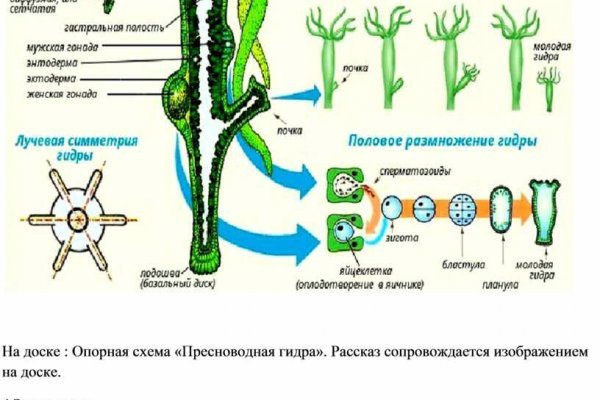 Кракен наркоторговля