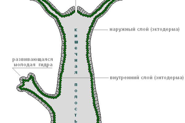 Кракен сайт 14