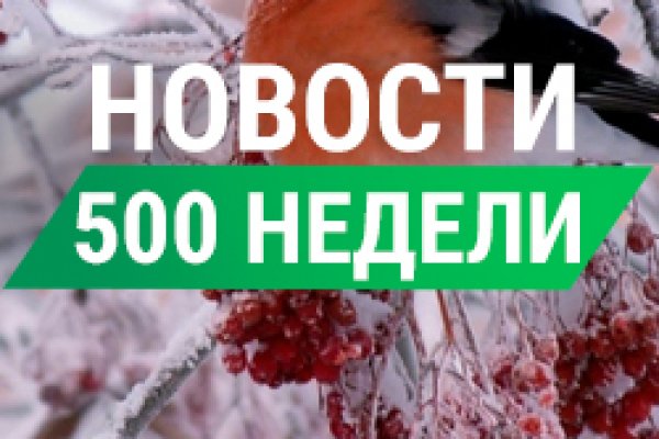 Сайты даркнета